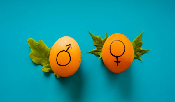 CAPTPhoto by Dainis Graveris for Unsplash